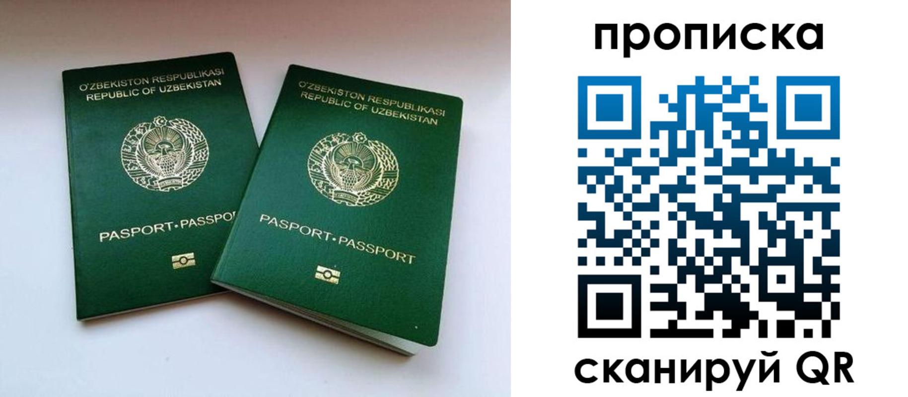 прописка поиск в Давлеканово